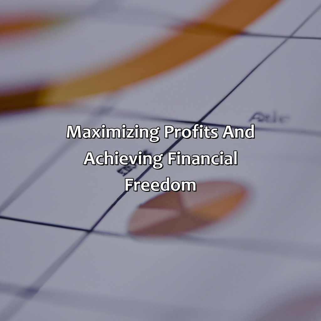 Maximizing profits and achieving financial freedom-financial freedom how to profit from your perfect business?, 