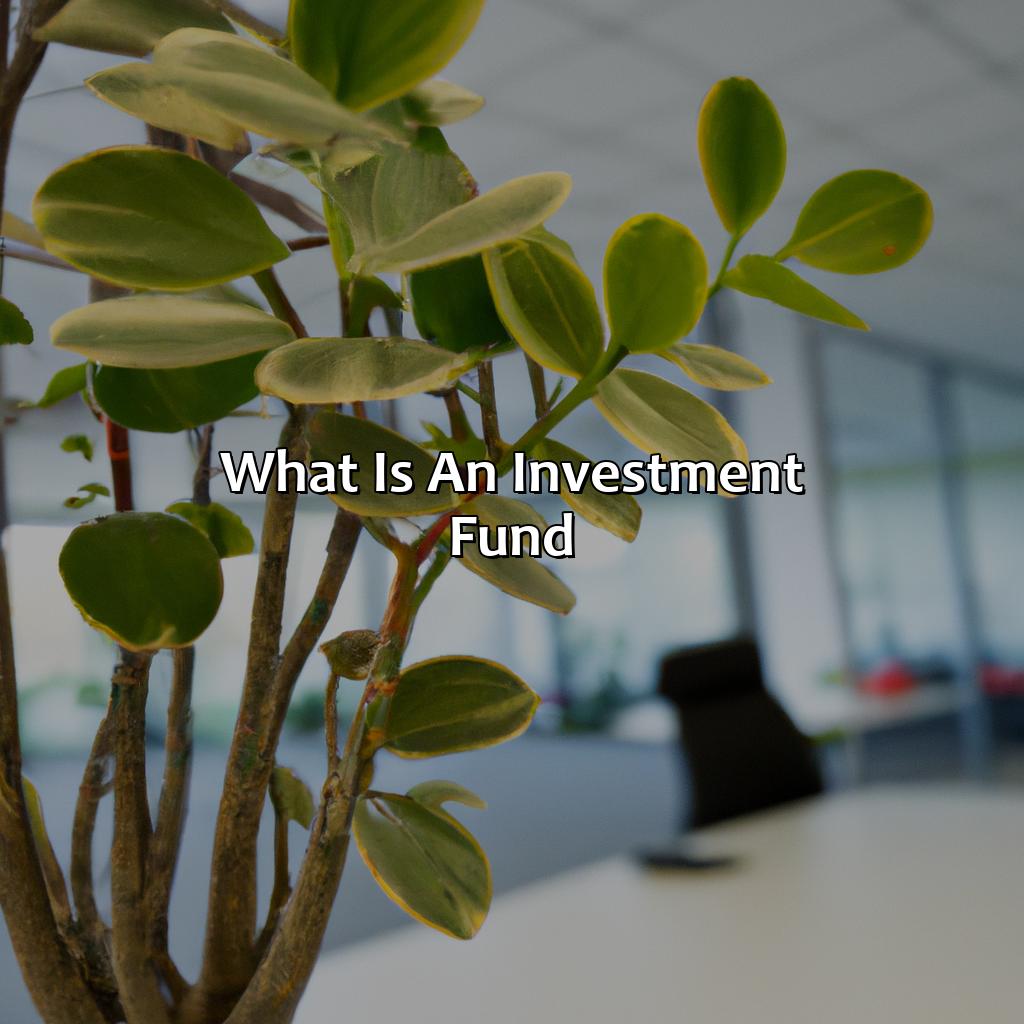 What is an Investment Fund?-how an investment fund works?, 