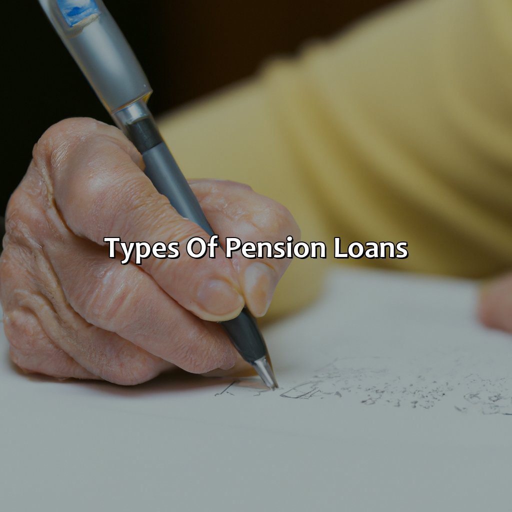 Types of Pension Loans-how does a pension loan work?, 