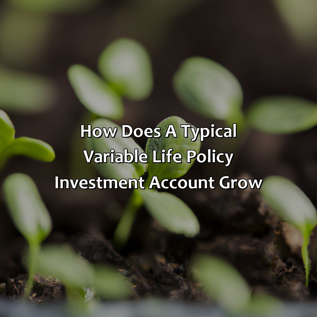 How Does A Typical Variable Life Policy Investment Account Grow?