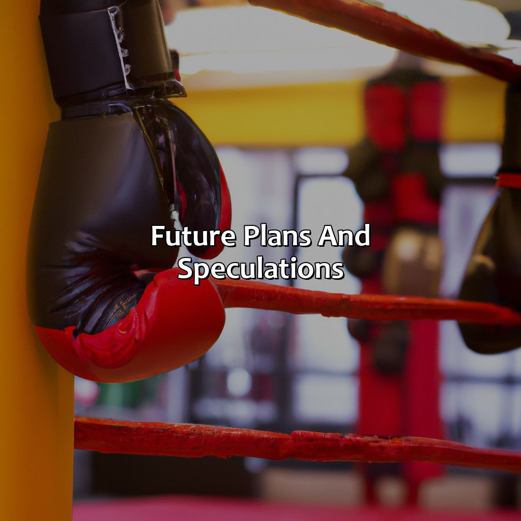 Future Plans and Speculations-how far away is boxers supposed retirement?, 