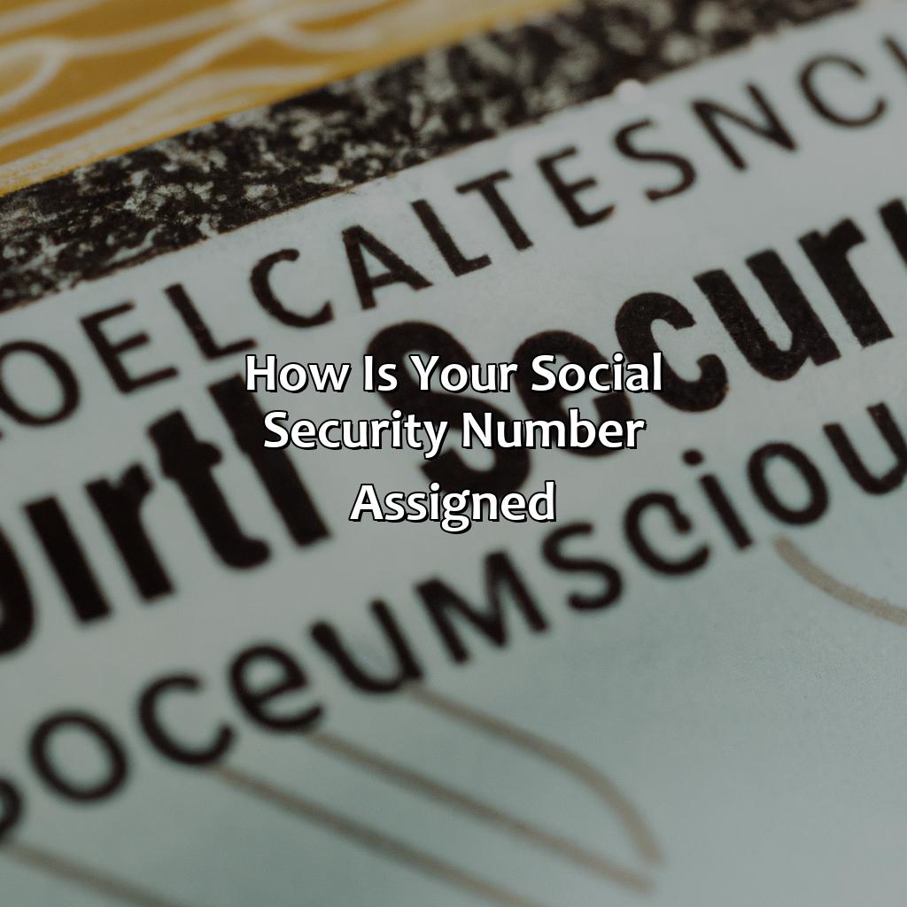 How is your Social Security Number Assigned?-how long are social security numbers?, 