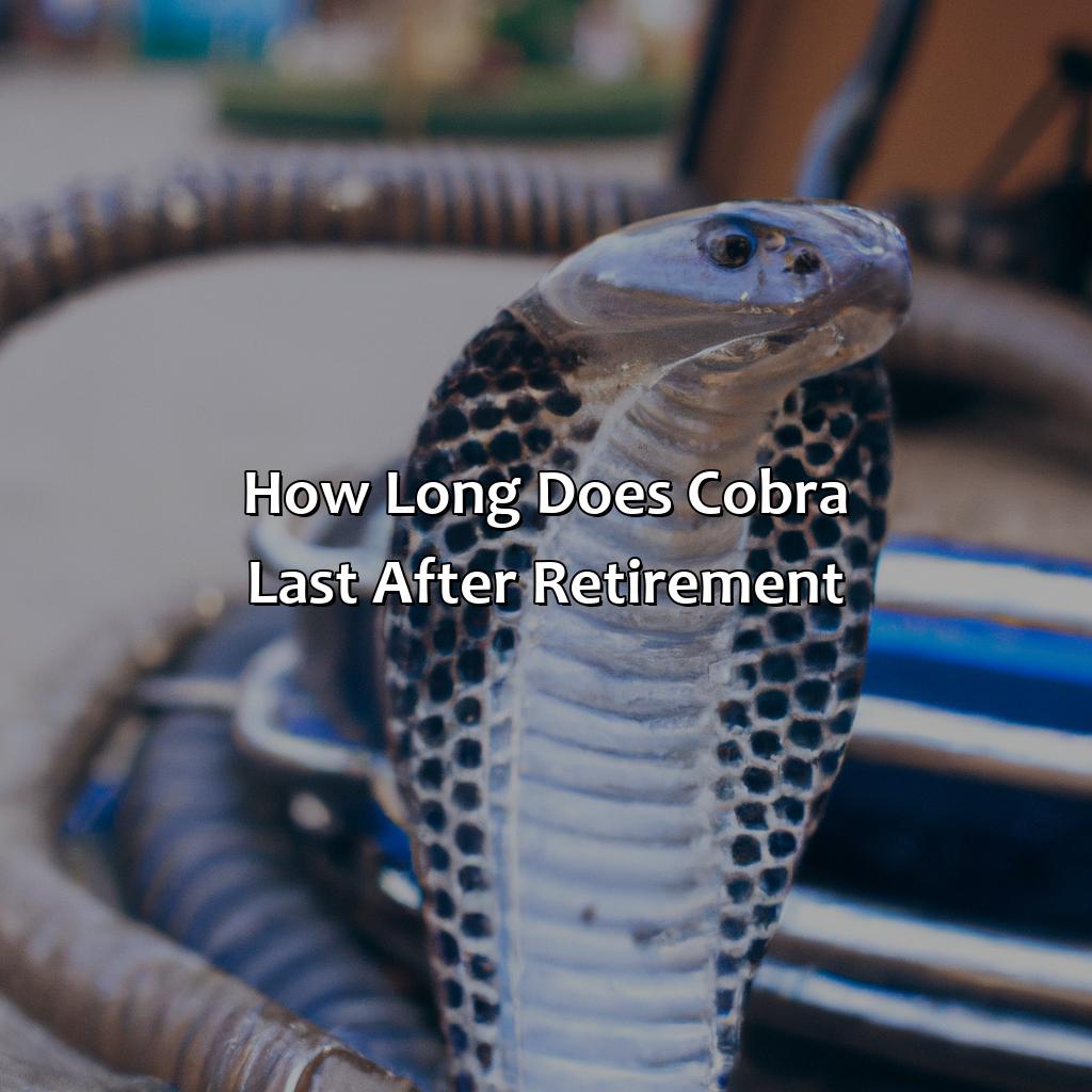 How Long Does Cobra Last After Retirement? - Retire Gen Z