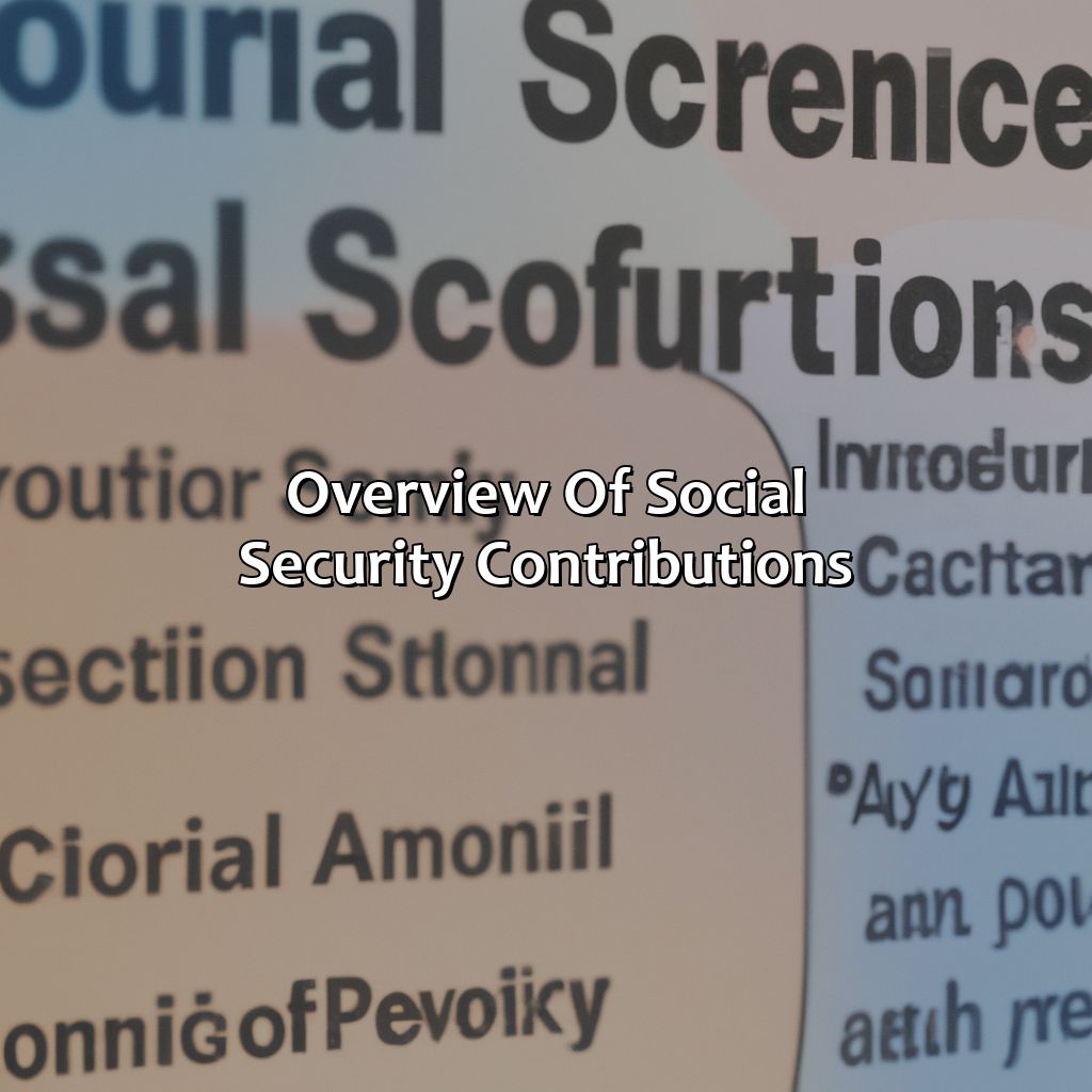 Overview of Social Security Contributions-how much do illegals contribute to social security?, 