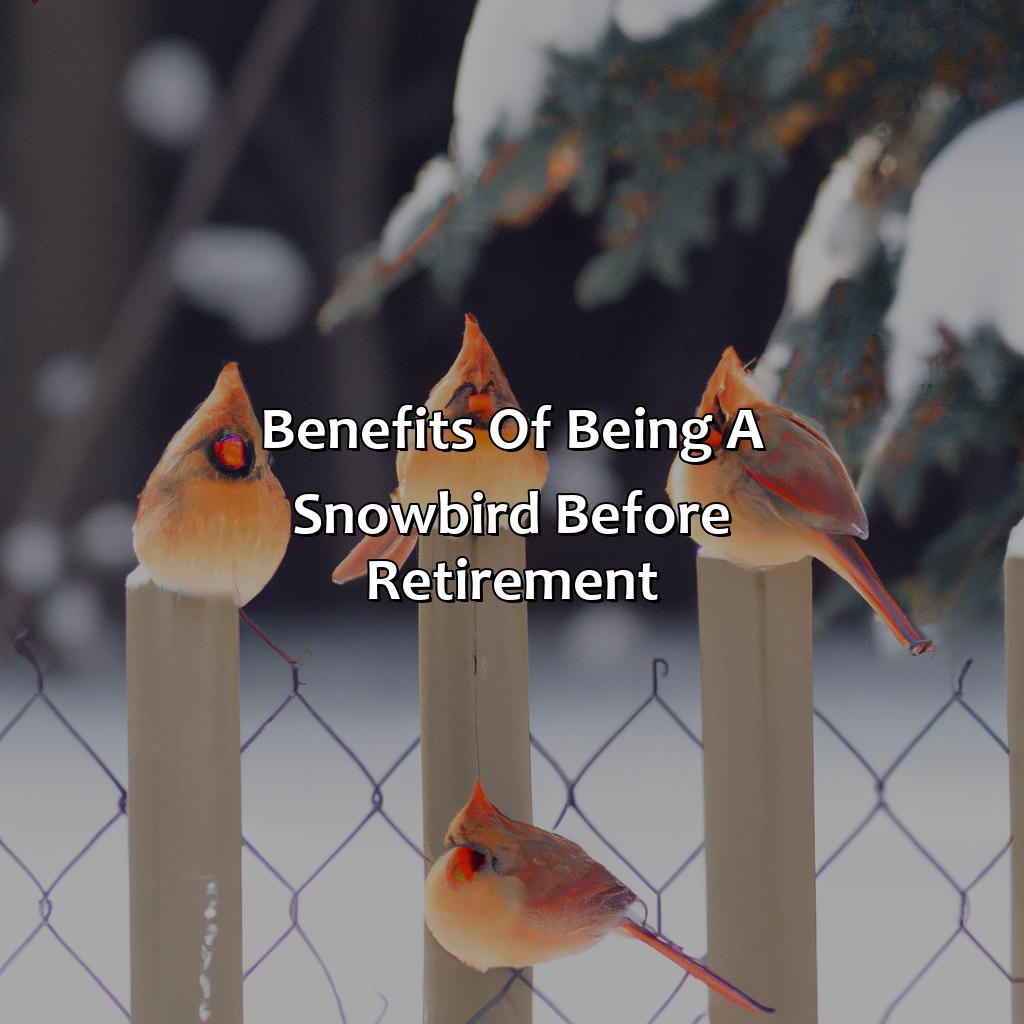 Benefits of Being a Snowbird Before Retirement-how to be a snowbird before retirement?, 