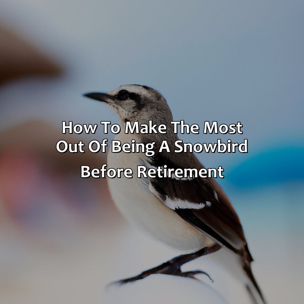 How to Make the Most Out of Being a Snowbird Before Retirement-how to be a snowbird before retirement?, 