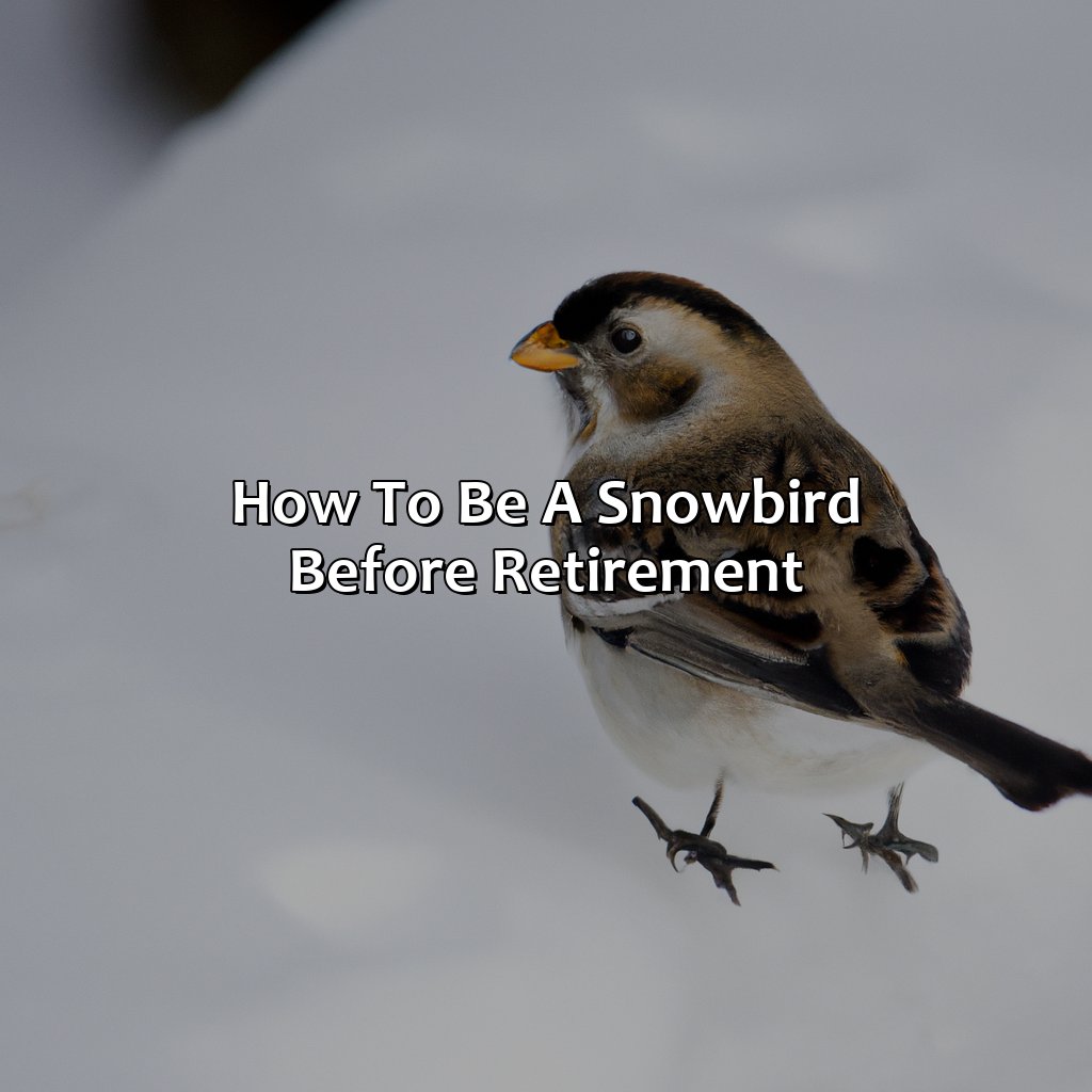 how to be a snowbird before retirement?,