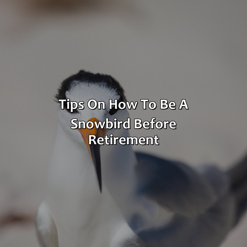 Tips on How to be a Snowbird Before Retirement-how to be a snowbird before retirement?, 