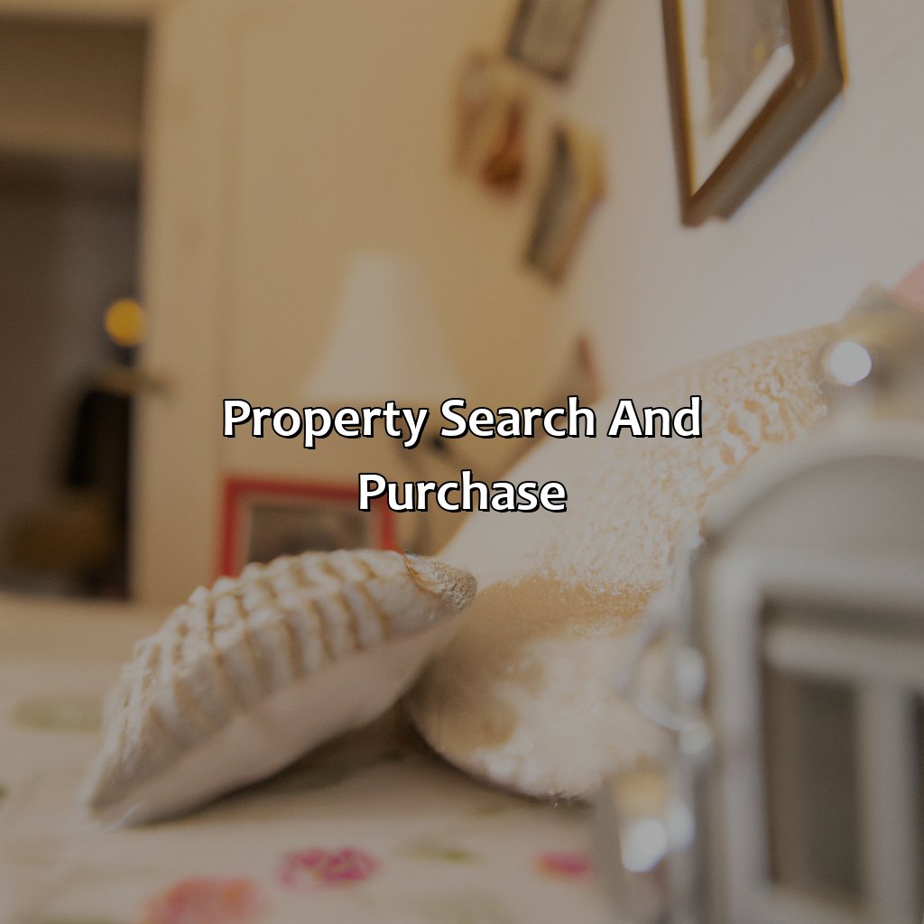 Property Search and Purchase-how to buy an airbnb investment property?, 