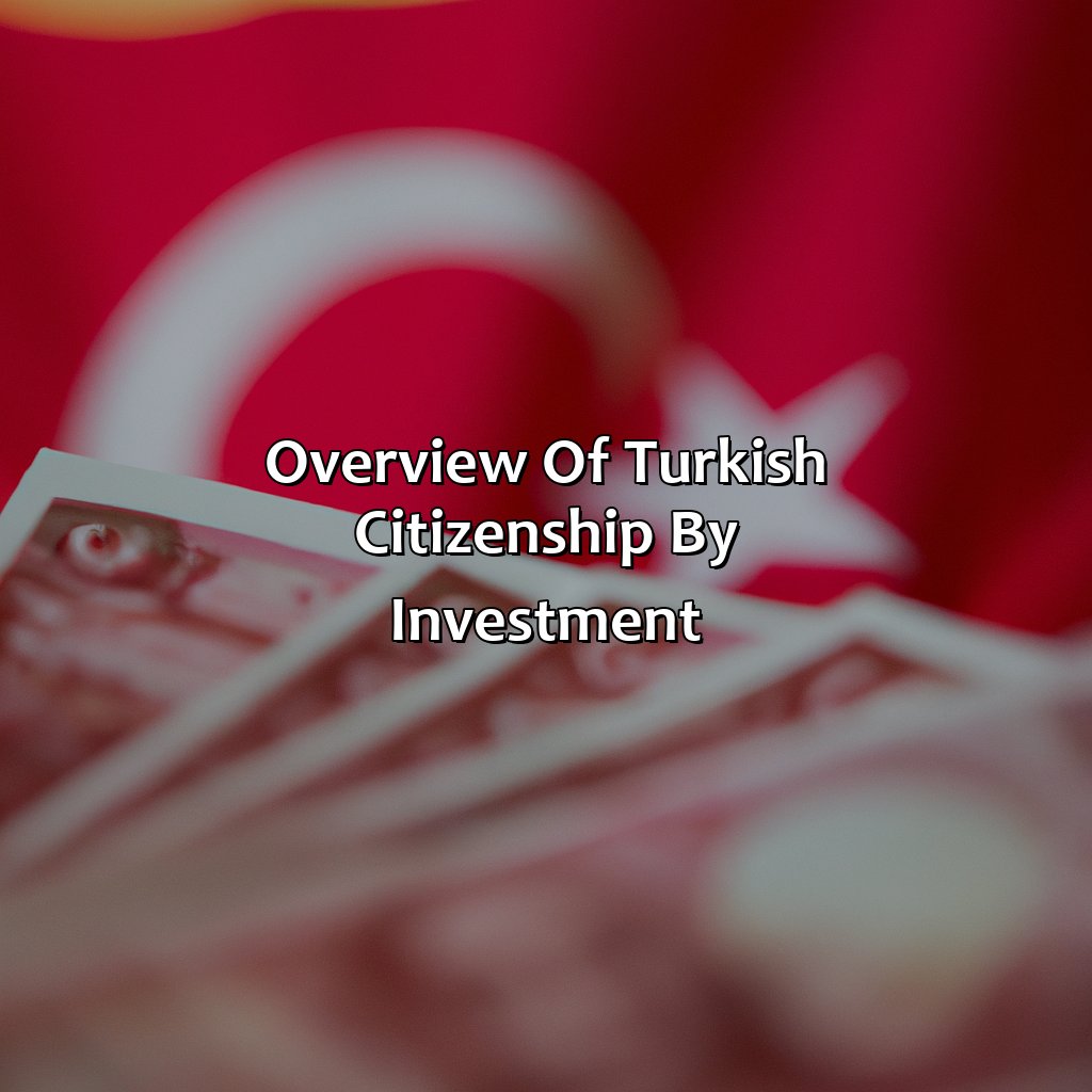 Overview of Turkish Citizenship by Investment-how to get turkish citizenship by investment?, 