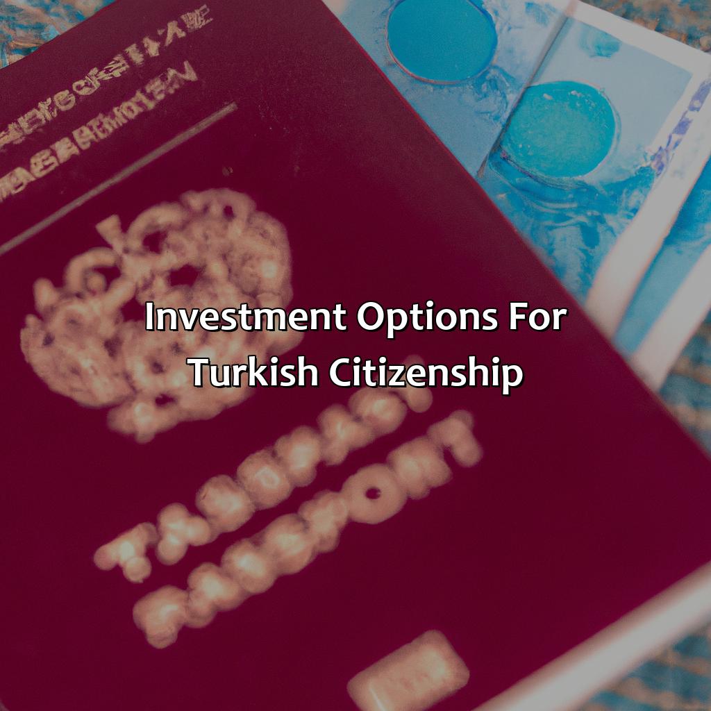 Investment Options for Turkish Citizenship-how to get turkish citizenship by investment?, 