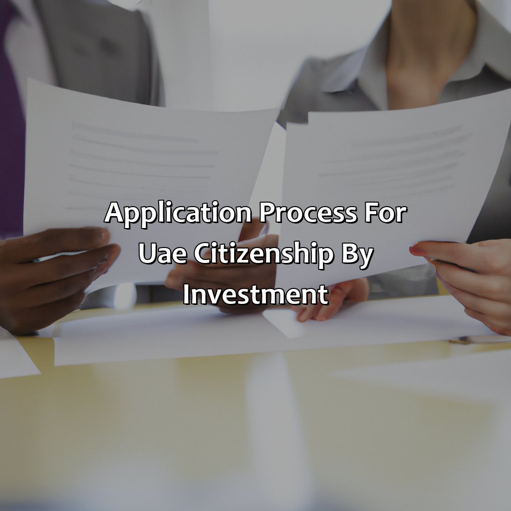 Application Process for UAE Citizenship by Investment-how to get uae citizenship by investment?, 