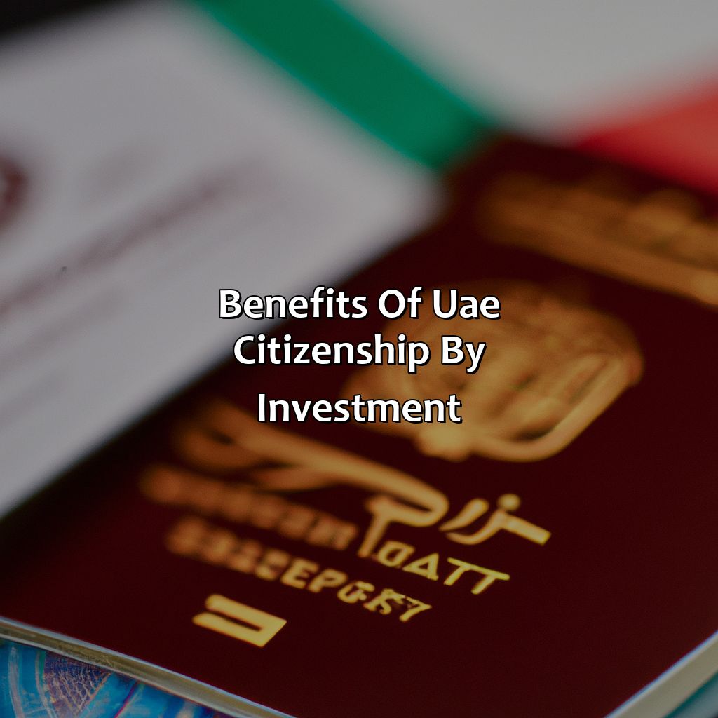 Benefits of UAE Citizenship by Investment-how to get uae citizenship by investment?, 