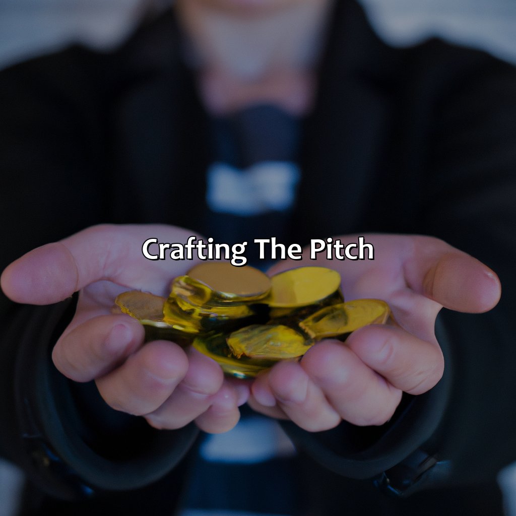 Crafting the Pitch-how to make an investment pitch?, 