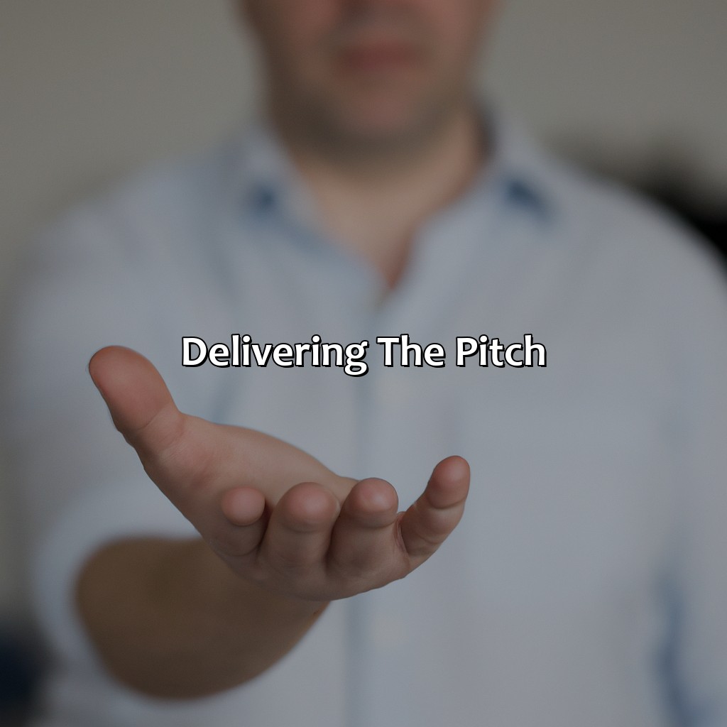 Delivering the Pitch-how to make an investment pitch?, 