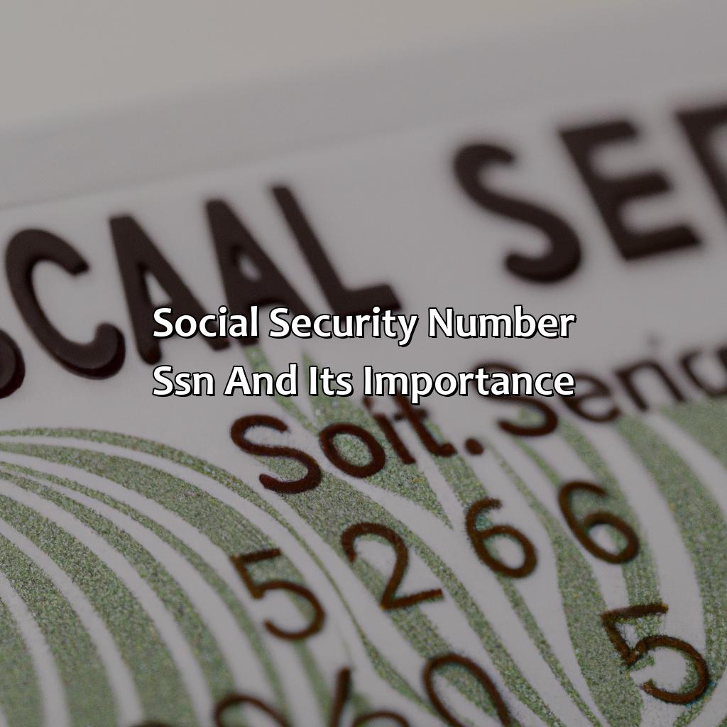 Social Security Number (SSN) and its Importance-how to search someone by social security number?, 