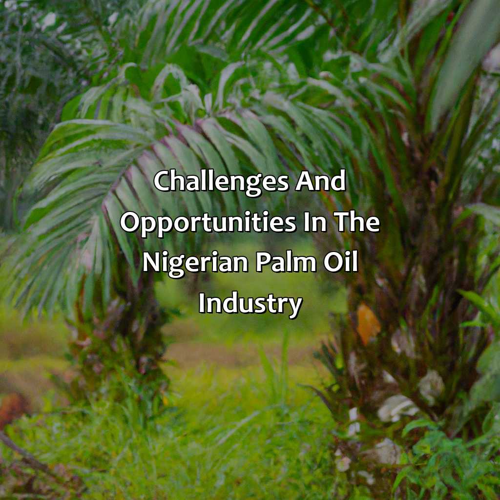 Challenges and Opportunities in the Nigerian Palm Oil Industry-how to start palm oil investment in nigeria?, 