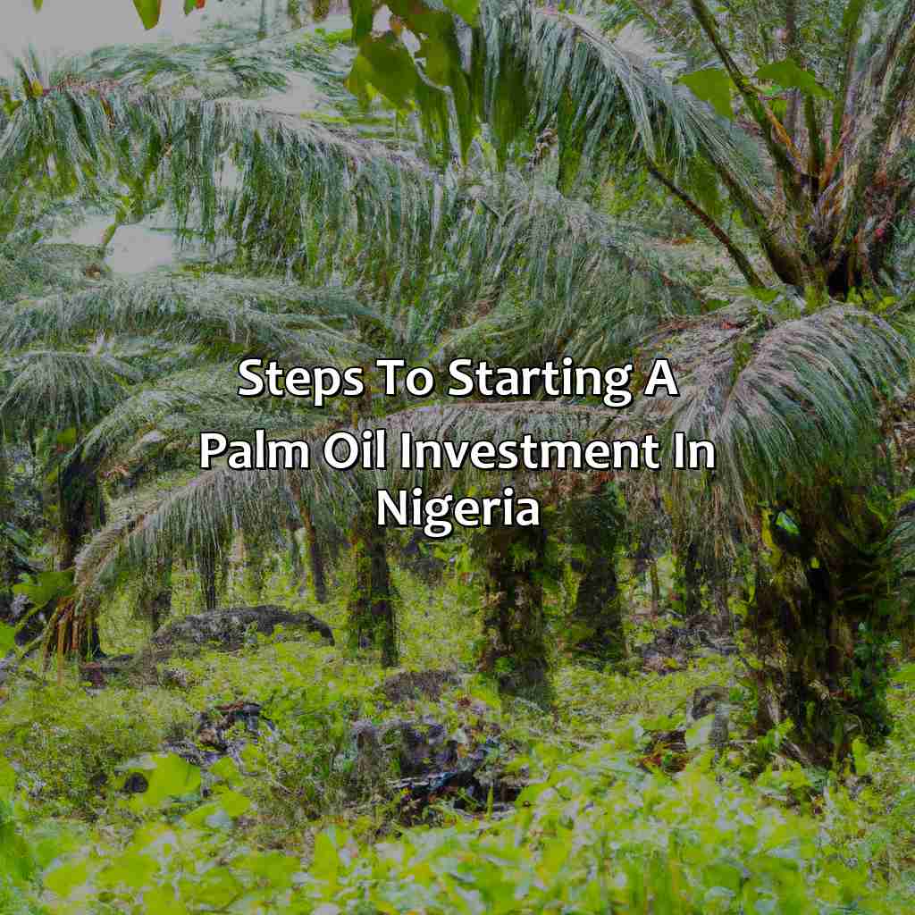 Steps to Starting a Palm Oil Investment in Nigeria-how to start palm oil investment in nigeria?, 