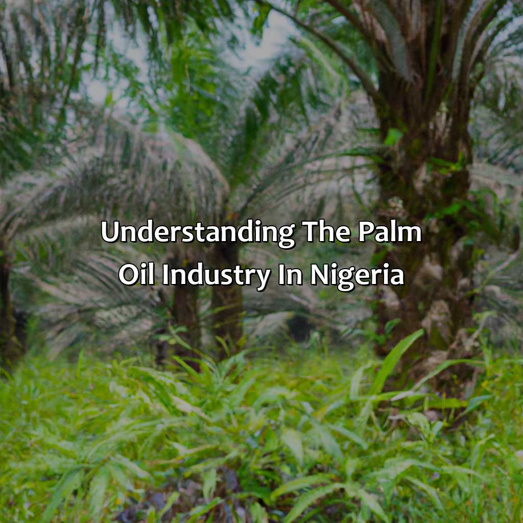 Understanding the Palm Oil Industry in Nigeria-how to start palm oil investment in nigeria?, 