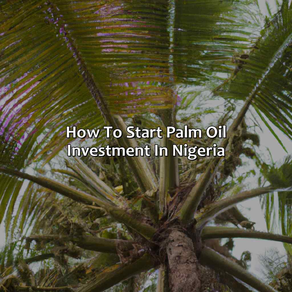 How To Start Palm Oil Investment In Nigeria?