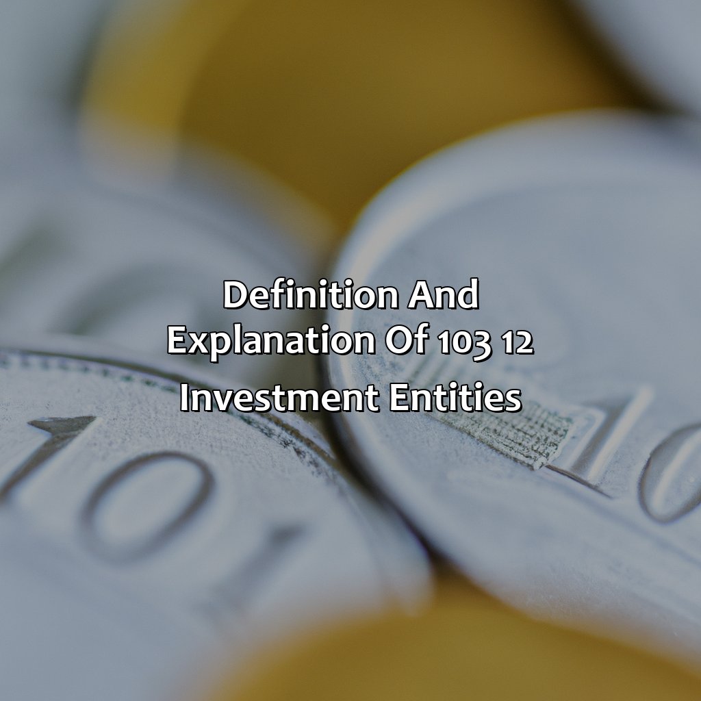 Definition and Explanation of 103 12 Investment Entities-what are 103 12 investment entities?, 