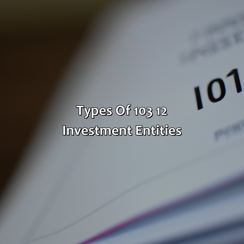 Types of 103 12 Investment Entities-what are 103 12 investment entities?, 