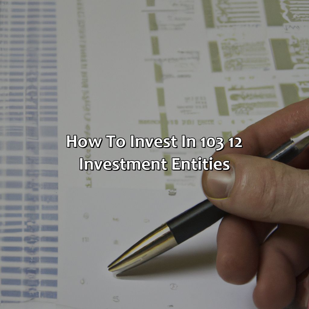 How to Invest in 103 12 Investment Entities-what are 103 12 investment entities?, 