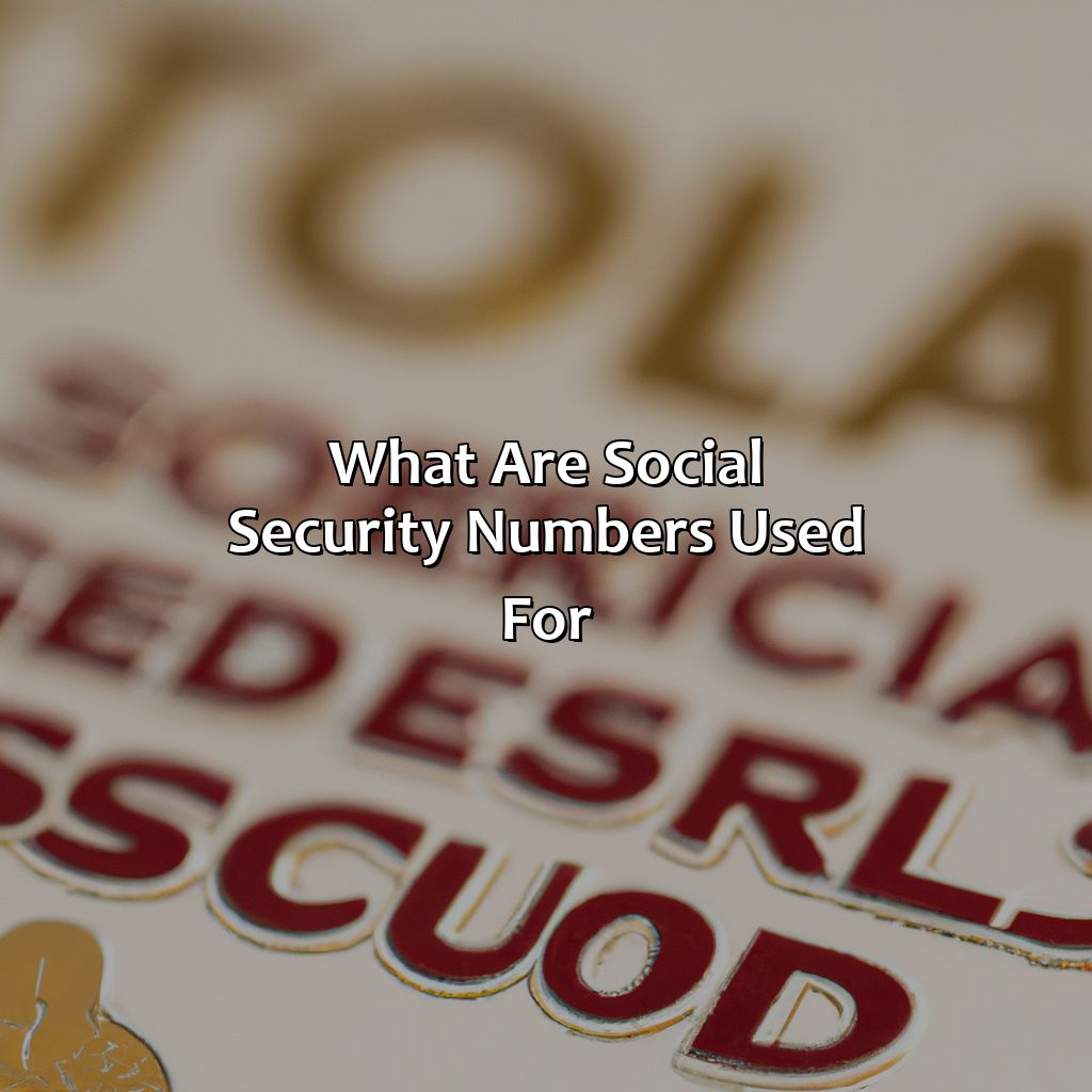 What Are Social Security Numbers Used For?