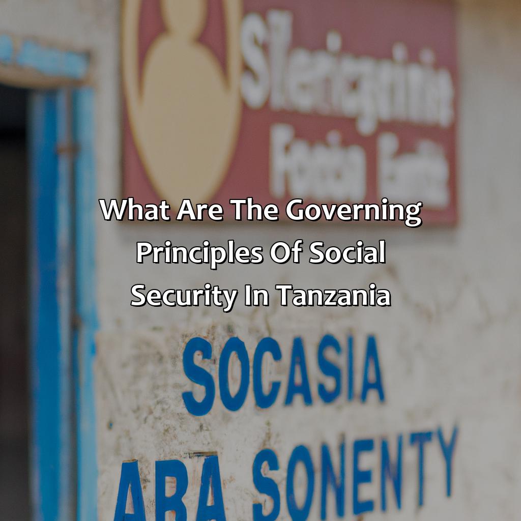 What Are The Governing Principles Of Social Security In Tanzania?