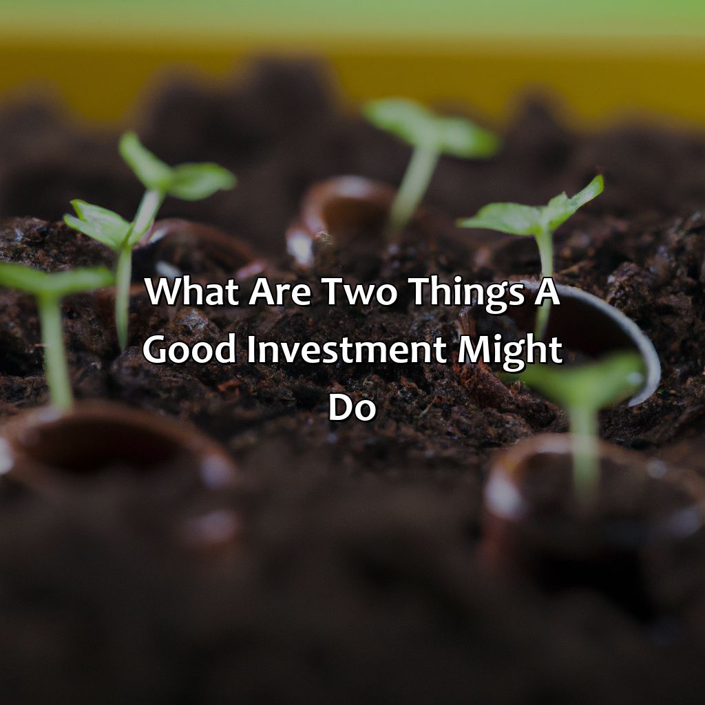 What Are Two Things A Good Investment Might Do?