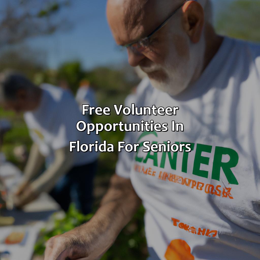 Free volunteer opportunities in Florida for seniors-what can you do for free during your florida retirement?, 