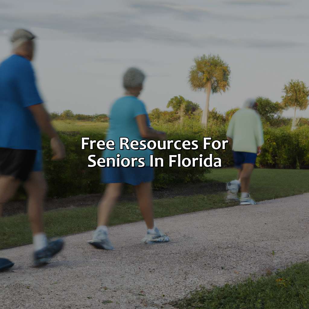 Free resources for seniors in Florida-what can you do for free during your florida retirement?, 