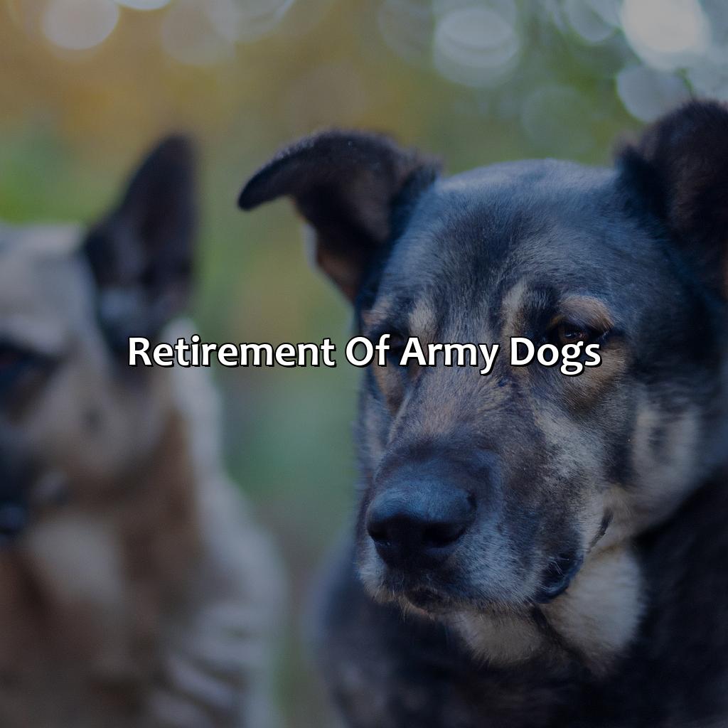 Retirement of army dogs-what happens to army dogs after retirement?, 