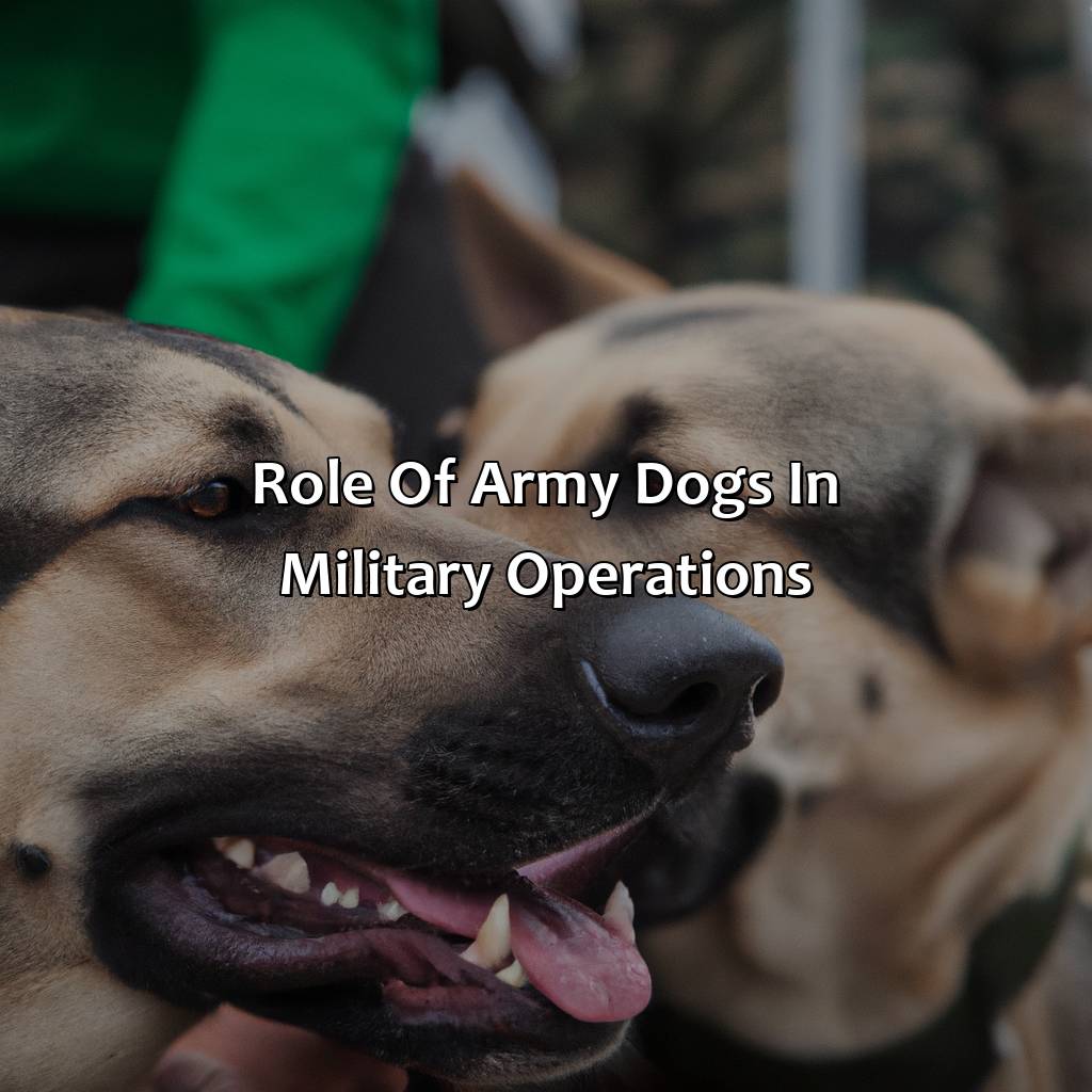 Role of army dogs in military operations-what happens to army dogs after retirement?, 