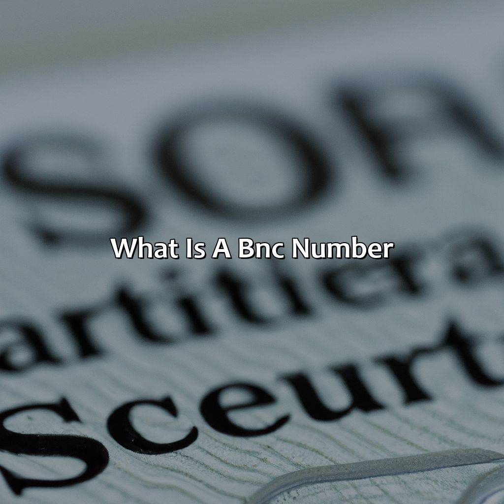 What is a BNC number?-what is a bnc number social security?, 