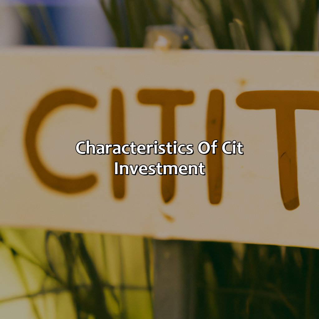 Characteristics of CIT Investment-what is a cit investment?, 