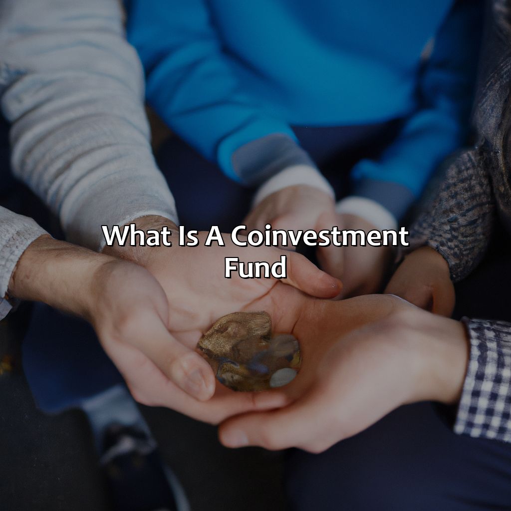 What Is A Co-Investment Fund?