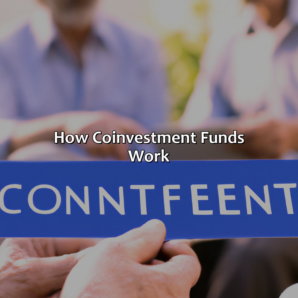 How Co-Investment Funds Work-what is a co-investment fund?, 