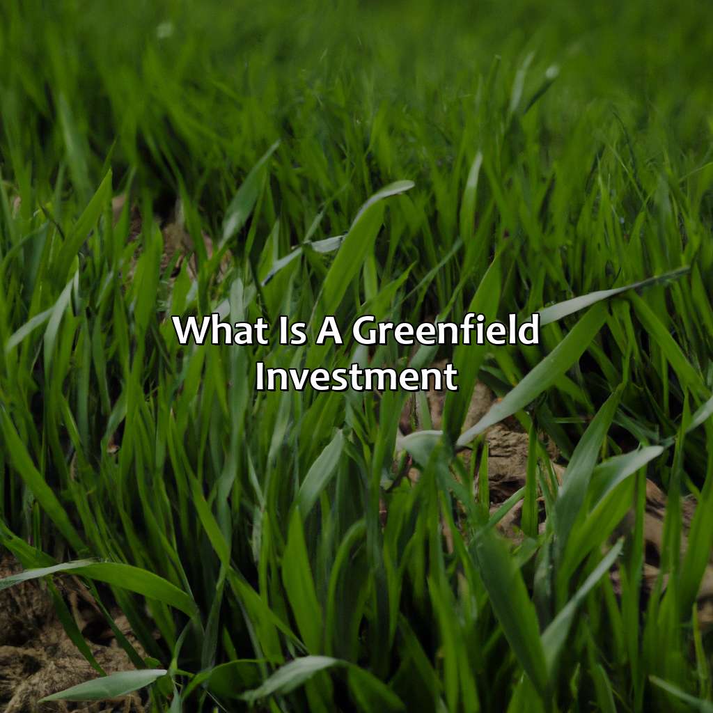 What Is A Greenfield Investment?