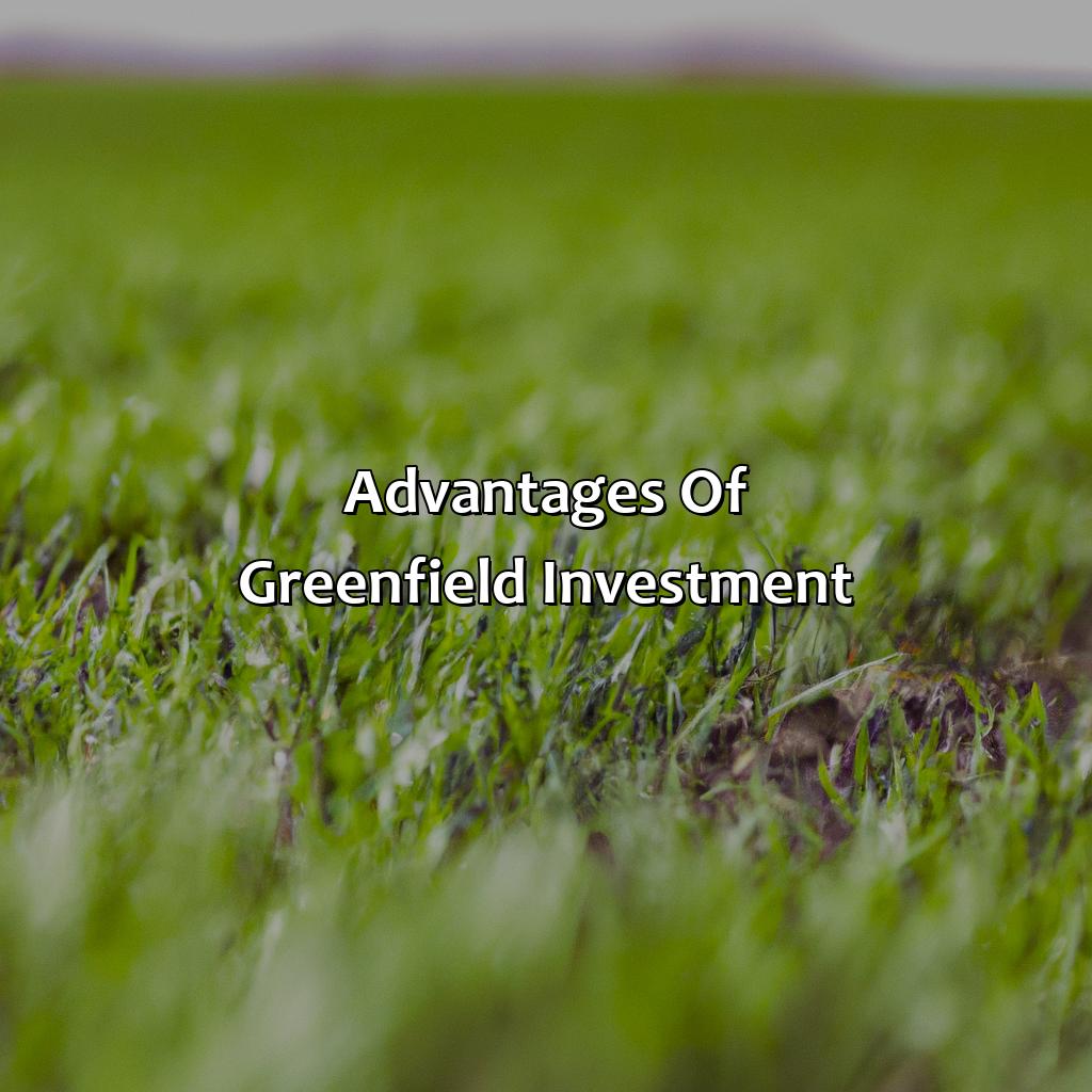 Advantages of Greenfield Investment-what is a greenfield investment?, 