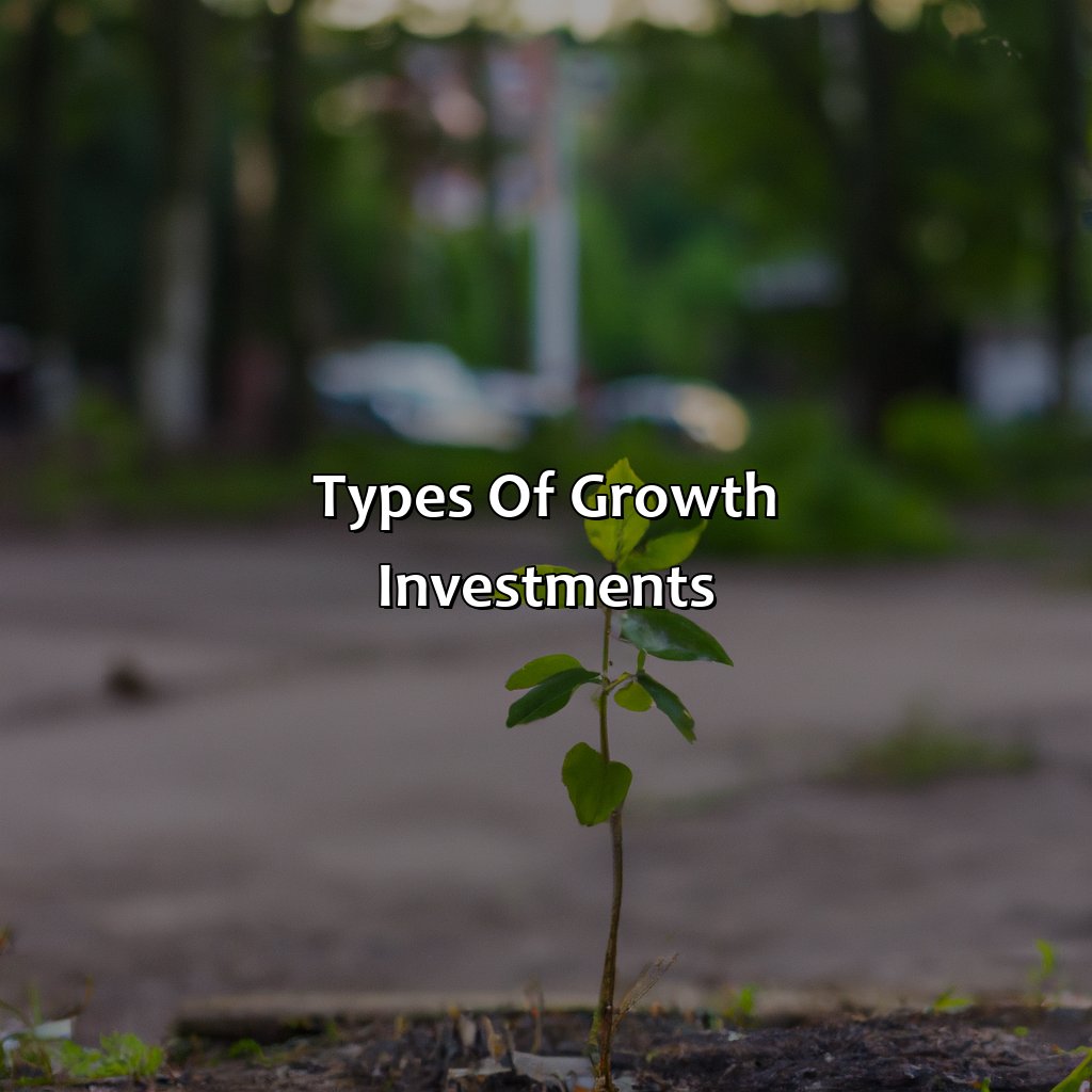 Types of Growth Investments-what is a growth investment?, 