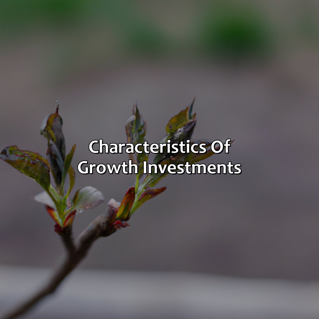 Characteristics of Growth Investments-what is a growth investment?, 