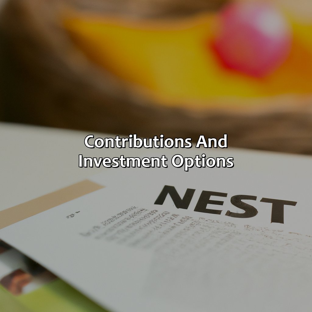 What Is A Nest Pension? Retire Gen Z