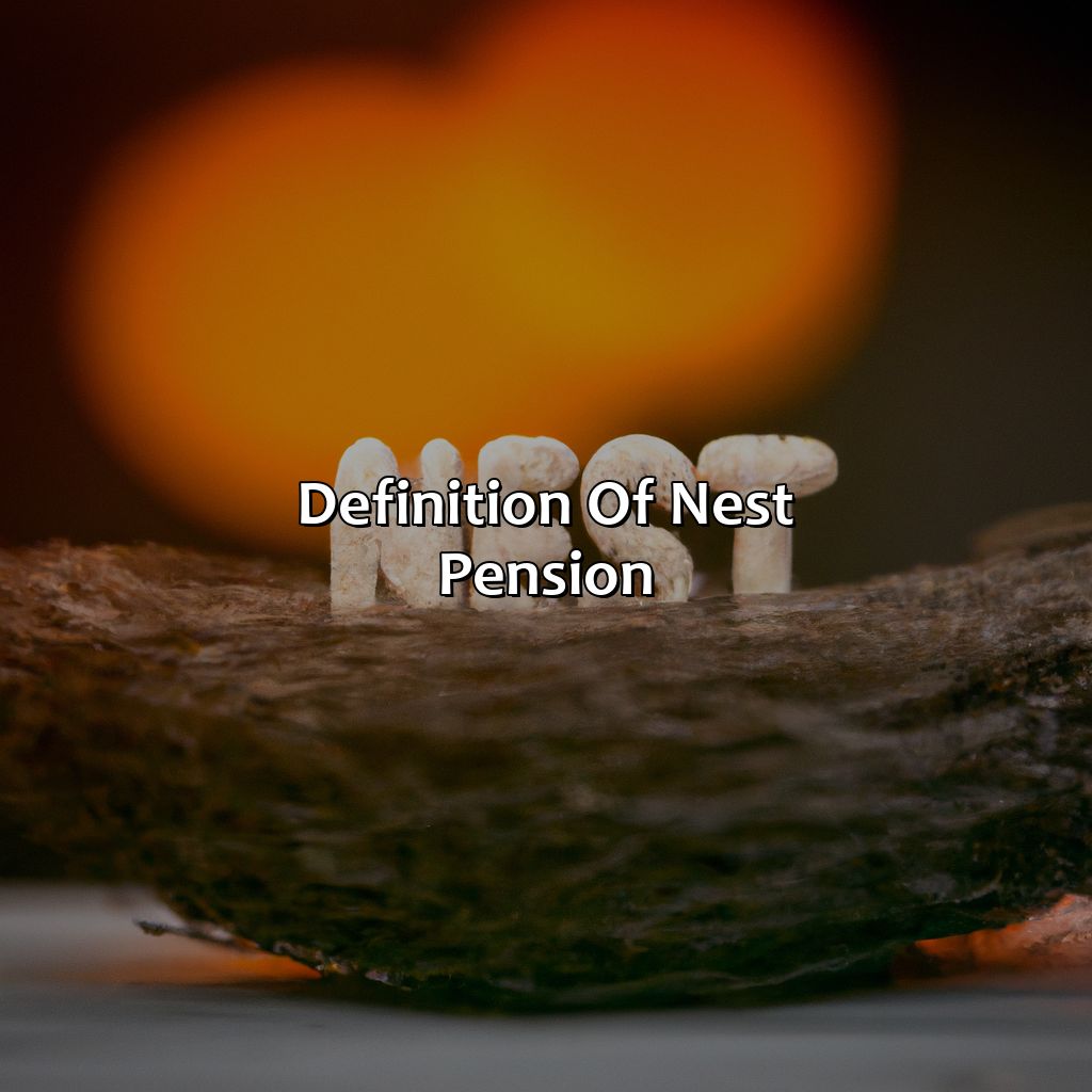 Definition of NEST Pension-what is a nest pension?, 