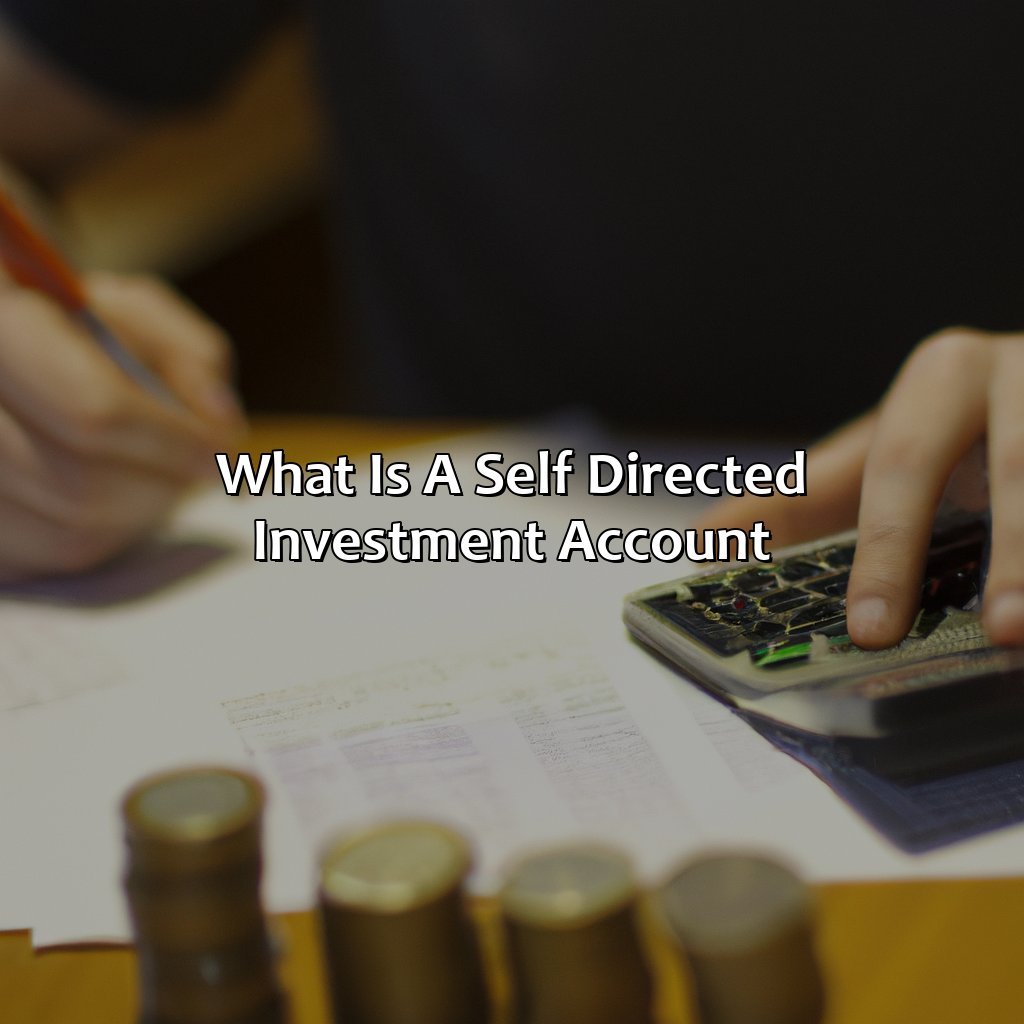 what is a self directed investment account?,