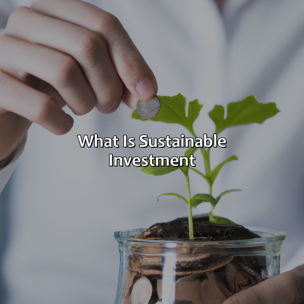 What is Sustainable Investment?-what is a sustainable investment?, 