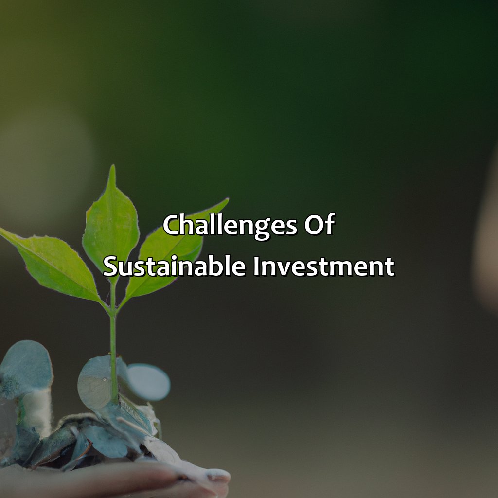 Challenges of Sustainable Investment-what is a sustainable investment?, 
