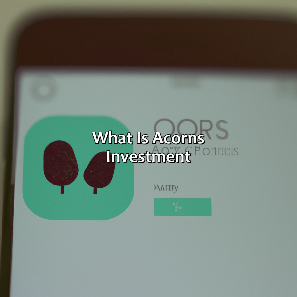 What Is Acorns Investment?