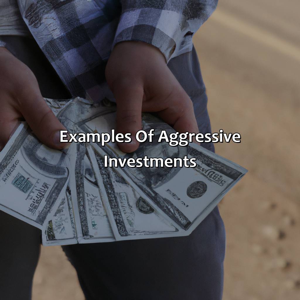 Examples of aggressive investments-what is an aggressive investment?, 