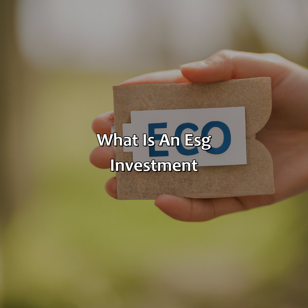 What Is An Esg Investment?